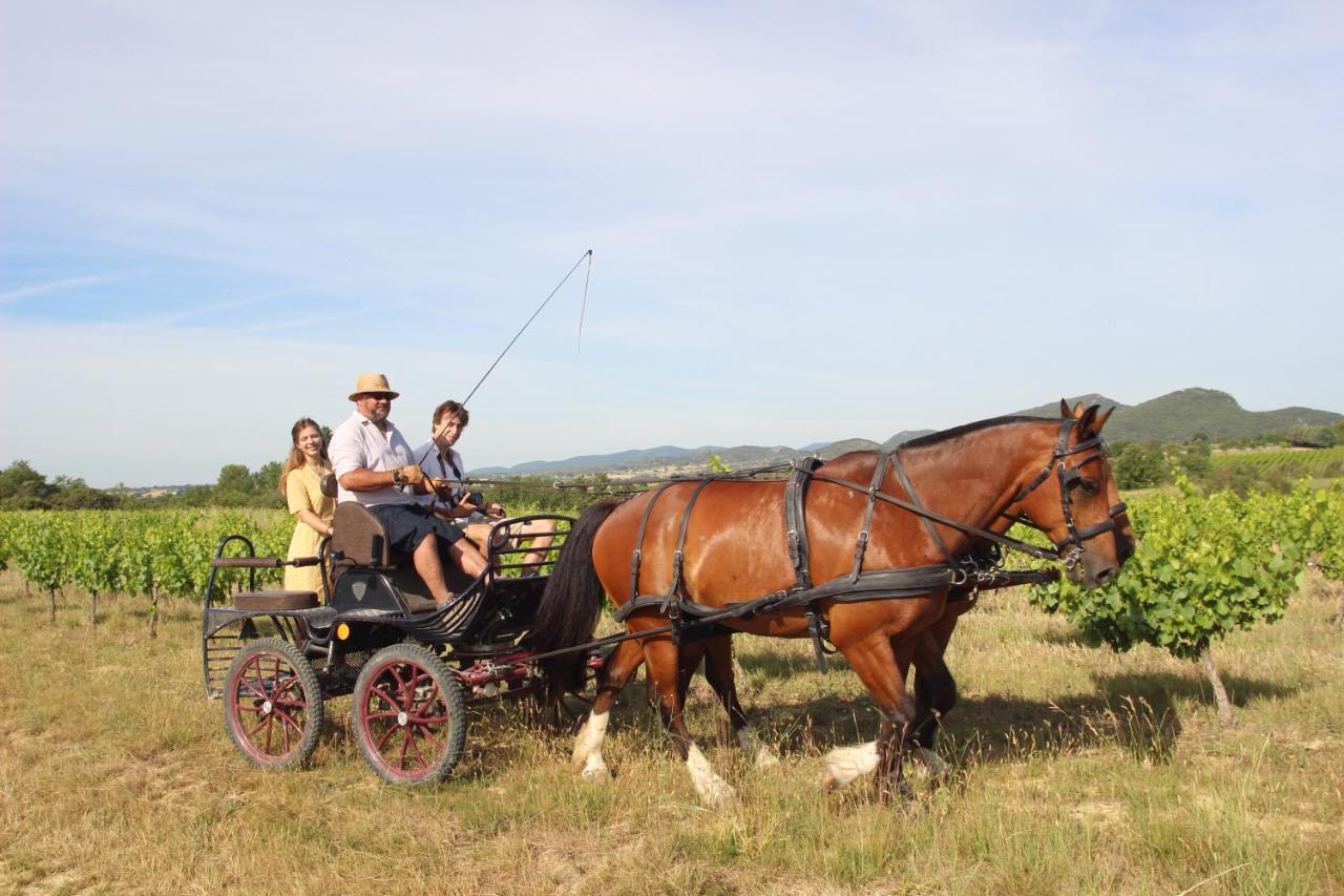 Le Mas De La Coste Saint-Sauveur-de-Cruzieres Luaran gambar